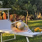 Lemon Factor B&B