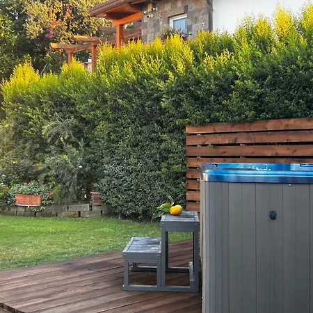 Lemon Factor Sorrente