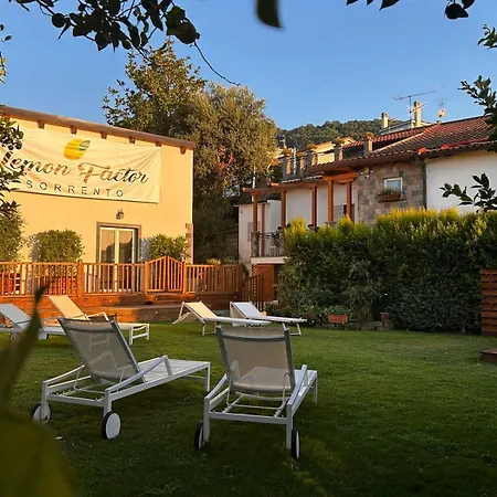 Lemon Factor לינה וארוחת בוקר