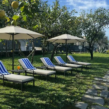 Lemon Factor 4* סורנטו