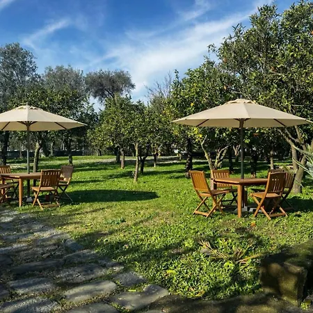 Lemon Factor לינה וארוחת בוקר סורנטו