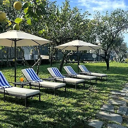 Lemon Factor Panzió 4*