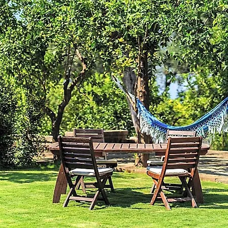 Lemon Factor فندق مبيت وإفطار 4*