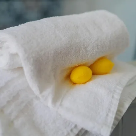 לינה וארוחת בוקר Lemon Factor