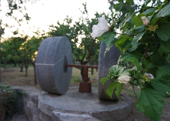 Bed and Breakfast Lemon Factor