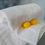 Frühstückspension Lemon Factor