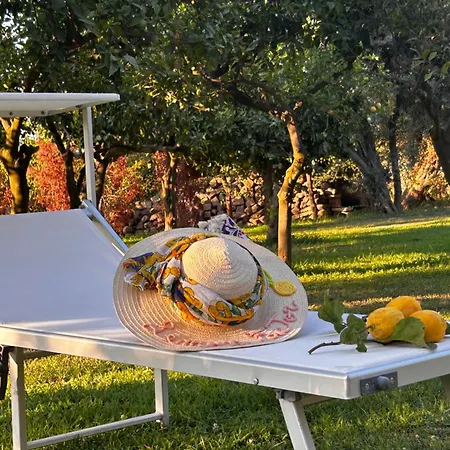 Lemon Factor 3* Sorrente