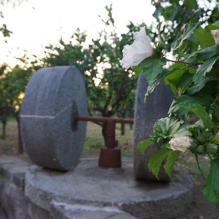 住宿加早餐酒店 Lemon Factor