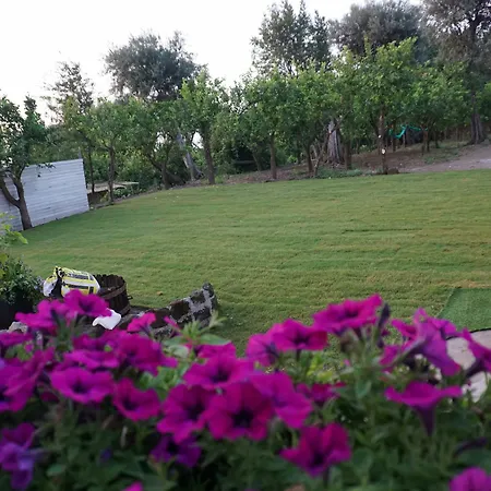 住宿加早餐酒店 Lemon Factor