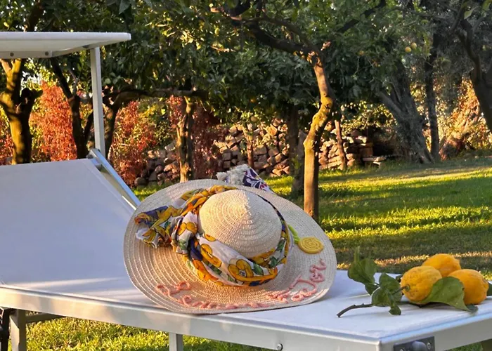 Lemon Factor 4* ソレント