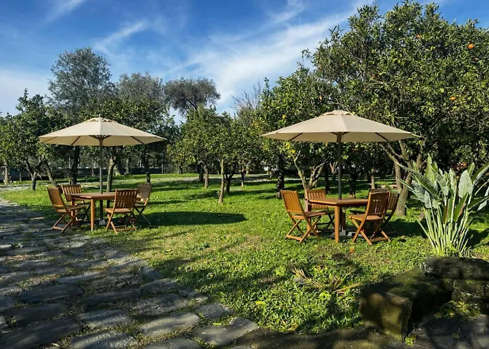 Lemon Factor ベッド・アンド・ブレックファスト ソレント