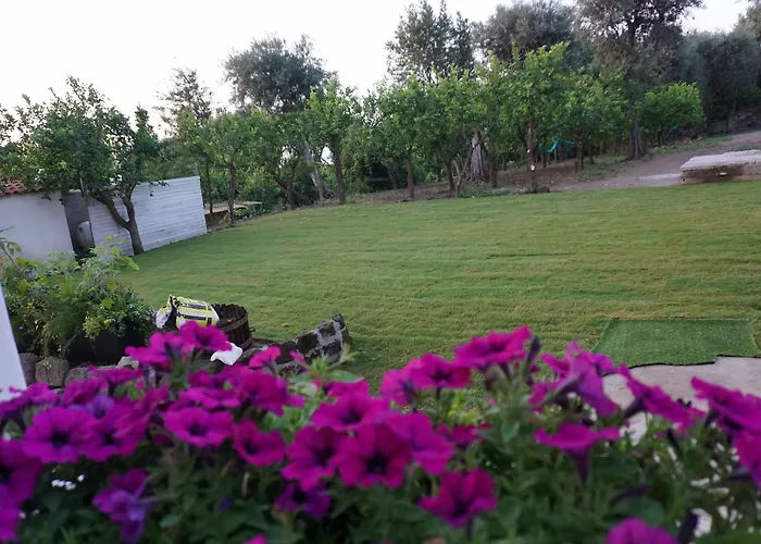 ベッド・アンド・ブレックファスト Lemon Factor