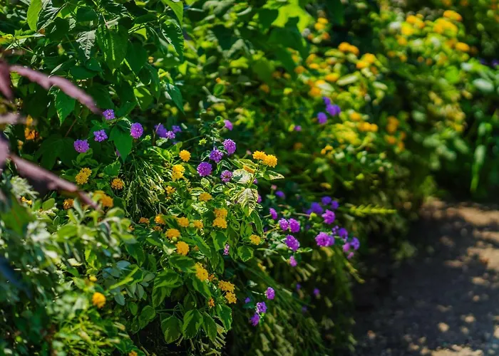 Lemon Factor ベッド・アンド・ブレックファスト 4*